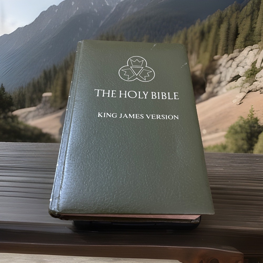 Holy Bible KJV - Royal Press 1976 Dictionary Concordance Red Letter Padded HC